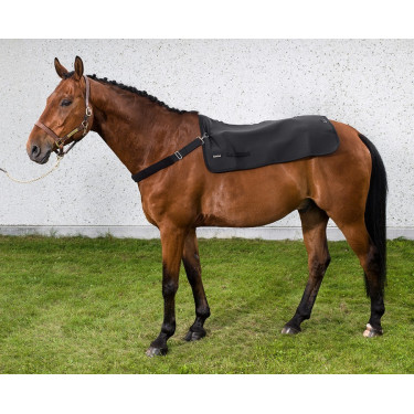 Collier Back Warmer Back On Track Collier Back Warmer Back On Track