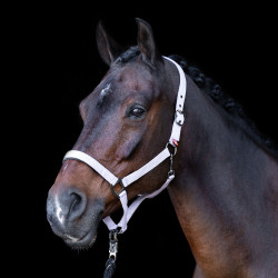 Licol Imperial Riding Classic Sport Ballerine
