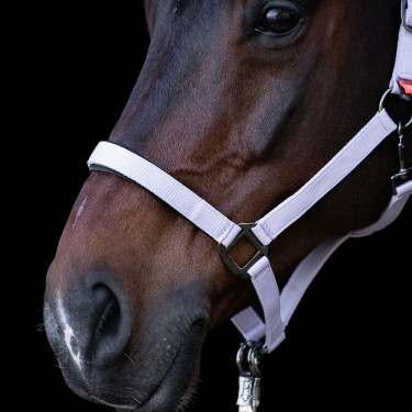 Licol Imperial Riding Classic Sport Ballerine Licol Imperial Riding Classic Sport Ballerine