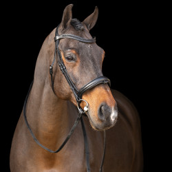 Bridon avec muserolle Englaise Imperial Riding