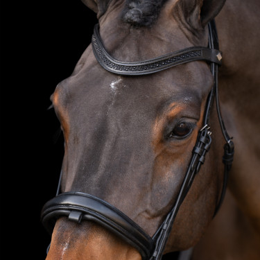 Bridon avec muserolle Englaise Imperial Riding Bridon avec muserolle Englaise Imperial Riding