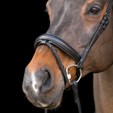Bridon avec muserolle Englaise Imperial Riding Bridon avec muserolle Englaise Imperial Riding