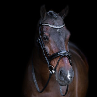 Bridon avec muserolle Englaise Imperial Riding Noir / noir