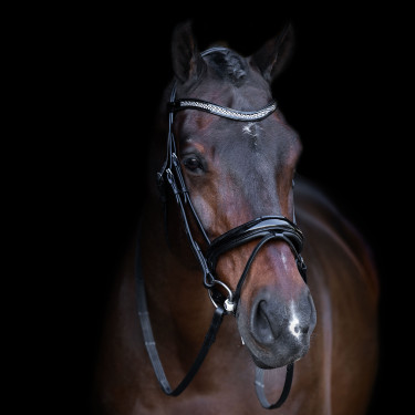 Bridon avec muserolle Englaise Imperial Riding Noir / crystal