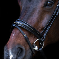 Bridon avec muserolle Englaise Imperial Riding Noir / noir
