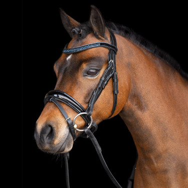 Bridon Imperial Riding Petit Bridon Imperial Riding Petit