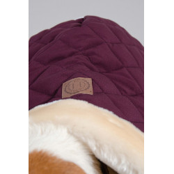 Couverture Chien Harcour Rocket Violine Violet