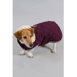 Couverture Chien Harcour Rocket Violine Violet