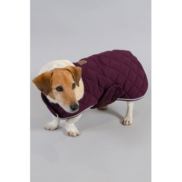 Couverture Chien Harcour Rocket Couverture Chien Harcour Rocket