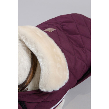 Couverture Chien Harcour Rocket Couverture Chien Harcour Rocket