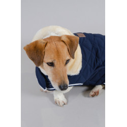 Couverture Chien Harcour Rocket Marine Bleu marine