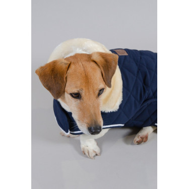 Couverture Chien Harcour Rocket Marine Bleu marine Couverture Chien Harcour Rocket Marine Bleu marine