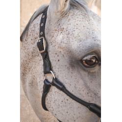 Licol Harcour Honey Noir