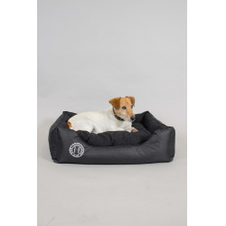 Panier Chien Harcour Baline
