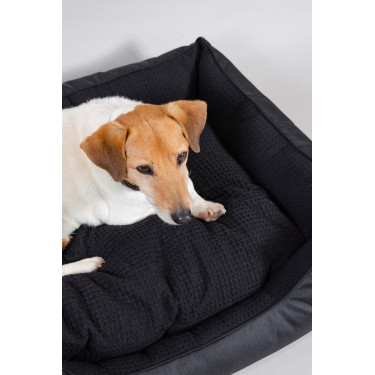 Panier Chien Harcour Baline Panier Chien Harcour Baline