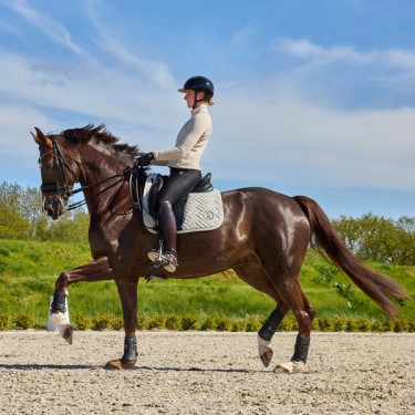 Tapis de selle Kingsland KLNexus dressage tissu mélangé Tapis de selle Kingsland KLNexus dressage tissu mélangé