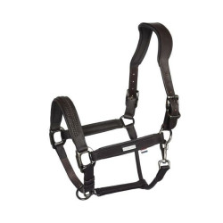Licol en cuir Kingsland KLNeville