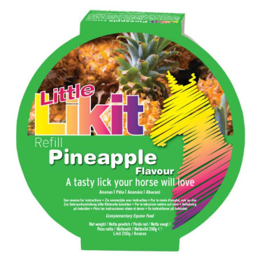 Pierre à lécher Little Likit Ananas