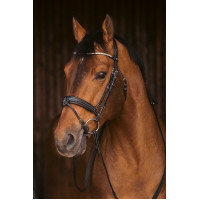 Bridon Pénélope Daily Strass SR Noir Bridon Pénélope Daily Strass SR Noir