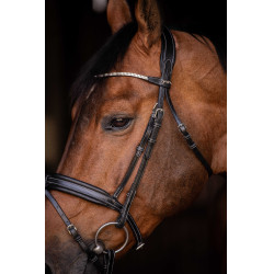 Bridon Pénélope Daily Strass SR Noir Bridon Pénélope Daily Strass SR Noir