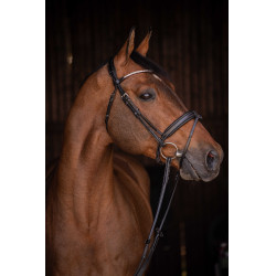 Bridon Pénélope Daily Strass SR Noir Bridon Pénélope Daily Strass SR Noir