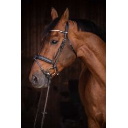 Bridon Pénélope Daily Strass SR Noir Bridon Pénélope Daily Strass SR Noir