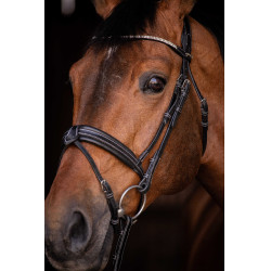 Bridon Pénélope Daily Strass SR Noir Bridon Pénélope Daily Strass SR Noir