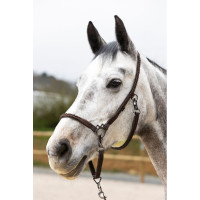 Licol de grooming ProConfort Dialou Marron