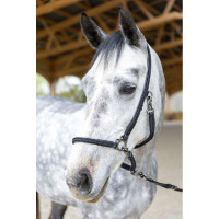 Licol de grooming ProConfort Dialou Noir