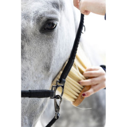 Licol de grooming ProConfort Dialou Noir