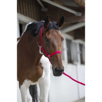 Ensemble licol et longe Club Fuchsia Rose