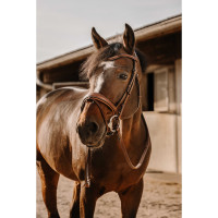 Rênes caoutchouc Eric Thomas Digit Havane Marron Rênes caoutchouc Eric Thomas Digit Havane Marron