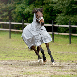 Couverture imperméable Nevada Horze 600 deniers Gris brillant Couverture imperméable Nevada Horze 600 deniers Gris brillant