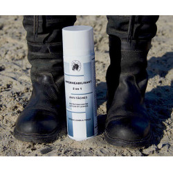 Imperméabilisant 2 en 1 anti-taches du Maréchal Imperméabilisant 2 en 1 anti-taches du Maréchal