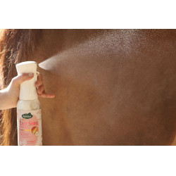 Easy Shine Intense Ravene Easy Shine Intense Ravene