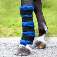 Guêtres refroidissantes Finn-Tack Pro Bleu