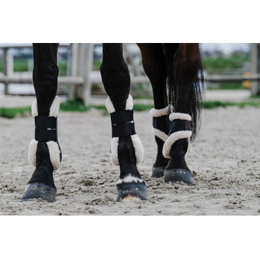 Protège-boulets Equithème Boa Noir Protège-boulets Equithème Boa Noir