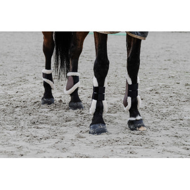 Protège-boulets Equithème Boa Protège-boulets Equithème Boa