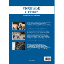 Comportements et postures