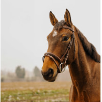 Bridon Norton Club Strass V Noir