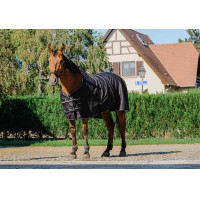 Chemise brillante Riding World Noir Chemise brillante Riding World Noir