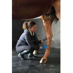 Argile rose Pénélope Terra Clay