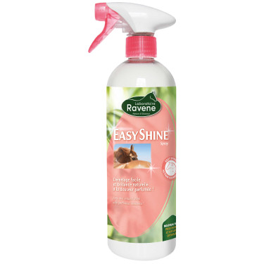 Easy Shine Ravene Eco-Recharge