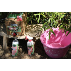 Easy Shine Ravene Eco-Recharge