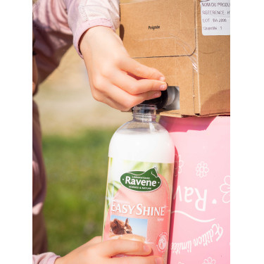 Easy Shine Ravene Eco-Recharge Easy Shine Ravene Eco-Recharge
