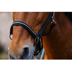 Licol nylon Equithème Domino Vert