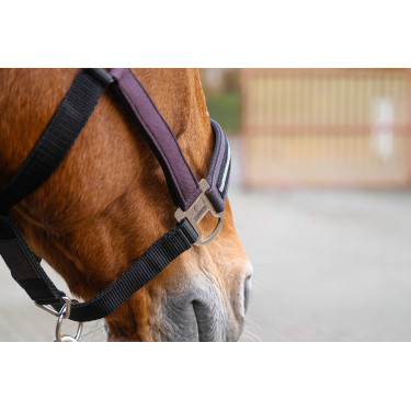 Licol nylon Equithème Domino Violet Licol nylon Equithème Domino Violet
