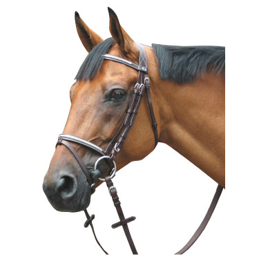 Bridon Deauville Combiné Privilege Equitation Bridon Deauville Combiné Privilege Equitation