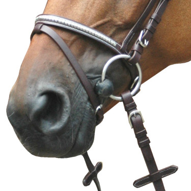 Bridon Deauville Combiné Privilege Equitation Bridon Deauville Combiné Privilege Equitation