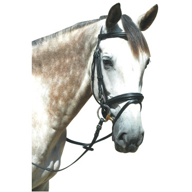 Bridon Pull Back Le Touquet Privilege Equitation Bridon Pull Back Le Touquet Privilege Equitation